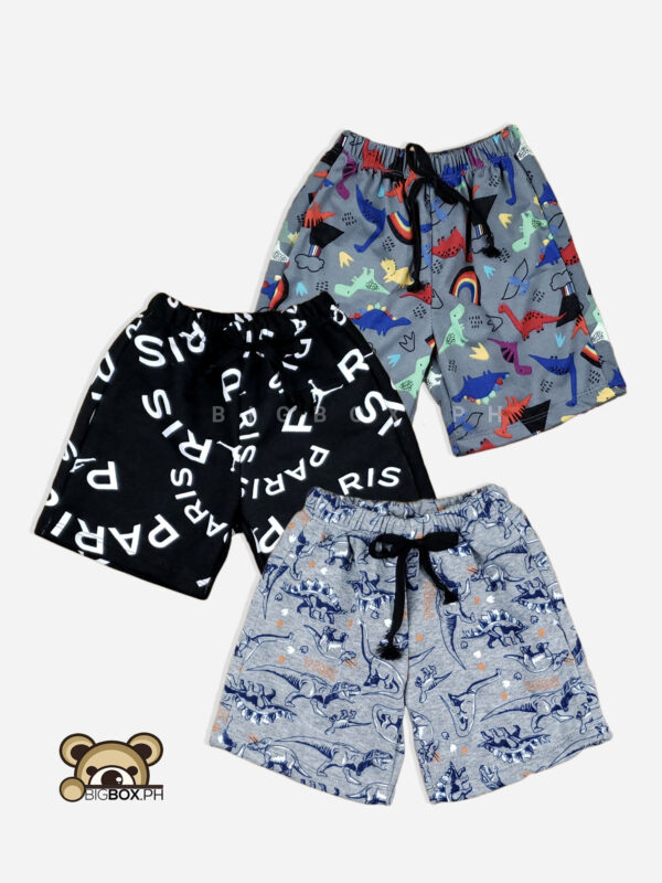 Printed boys drawstring shorts, Jordan, Dinosaur